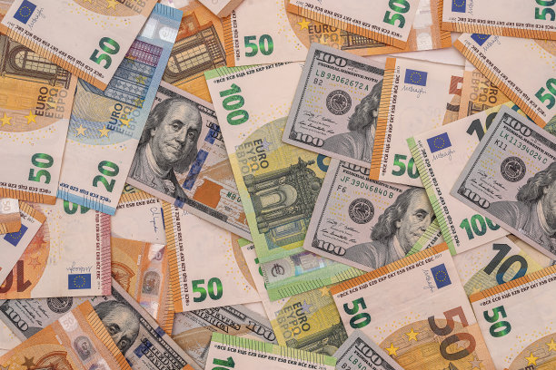 美元和欧元是两种主要的世界货币图片下载
