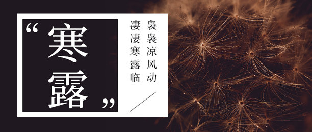 摄影风大气简约寒露节气公众号首图图片下载