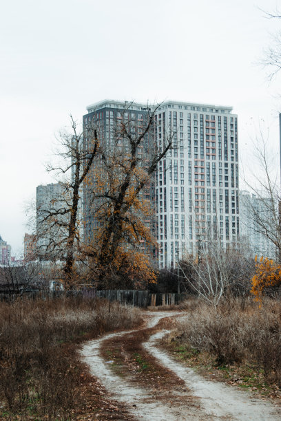 乡村景观背景为混凝土高层建筑图片下载