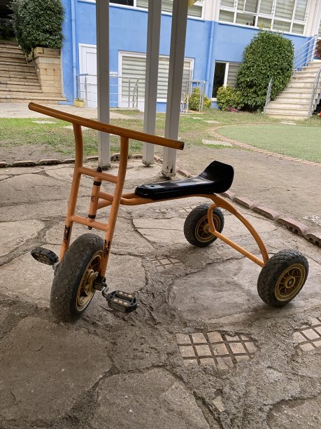 儿童三轮车在一个花园股票照片自行车的孩子图片下载