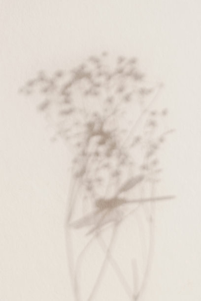 柔和的装饰植物墙上的剪影以蜻蜓为主，柔和的色彩模糊了焦点。自然背景图片下载