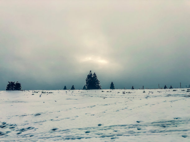 黑森林山顶上的雪。图片下载