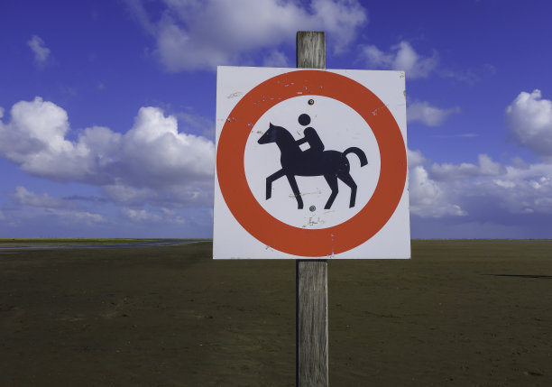 与海滩上的骑马者签约图片下载