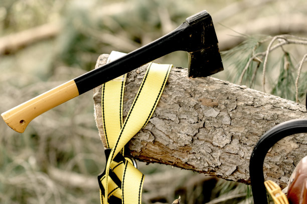 用新砍下的松木制成的斧头的特写镜头。图片下载