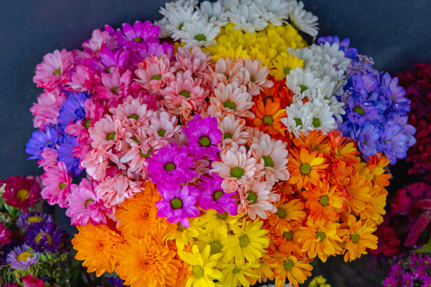 鲜花花束图片下载