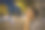 晚上，疲倦的年轻女子在外面等公共汽车时打呵欠图片下载
