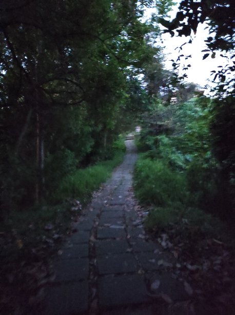 巴厘岛图片下载