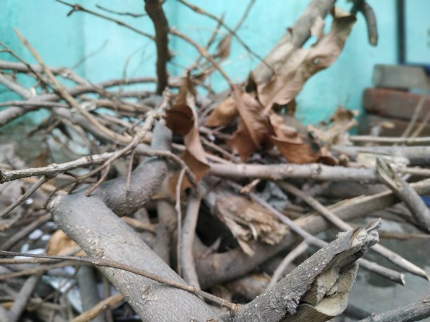 在家乡度假图片下载