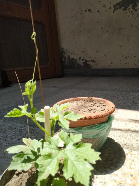 在家乡度假图片下载