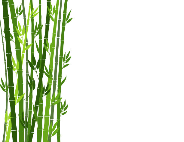 绿色的竹子图片下载