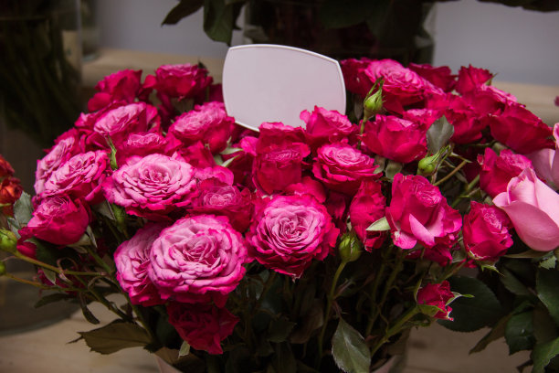 玫瑰和鲜花展示花店图片下载