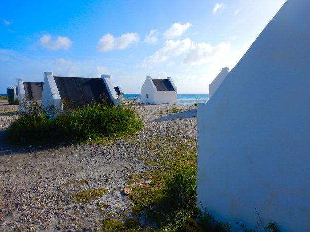 伯纳利亚海岸的白人奴隶屋图片下载