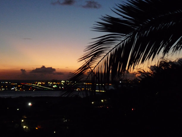 圣马丁机场跑道与棕榈叶的夜景图片下载
