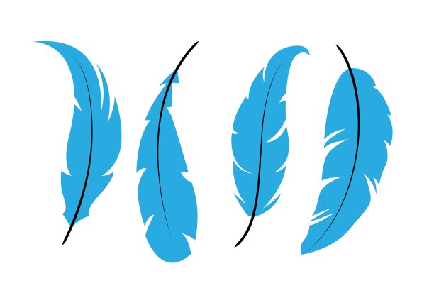 羽毛。不同形式的羽毛。羽毛剪影。设置行羽毛图片下载