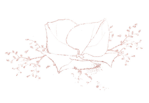 粉红色的金粉线花的花束在白色的背景。枝叶和绣球花闪亮排列。图片下载