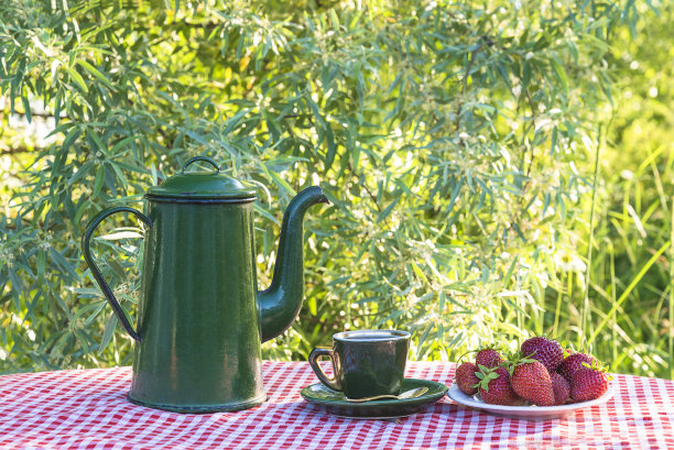 夏日花园的咖啡休息时间;图片下载