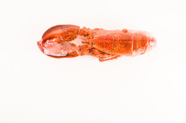 美味的蒸龙虾图片下载