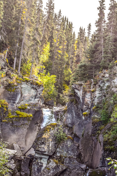 水流过长满苔藓的岩石图片下载