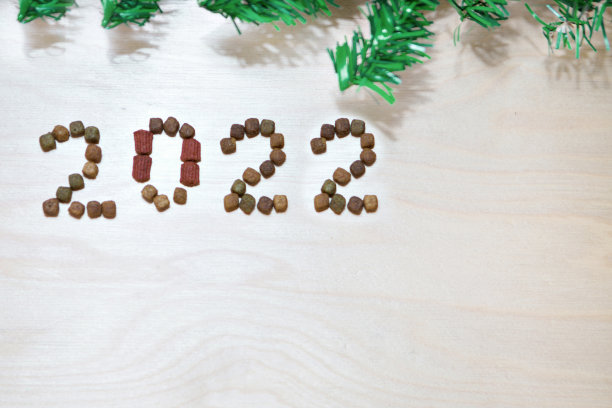 猫食狗粮和新年。干食品标签。2022年的宠物零食图片下载