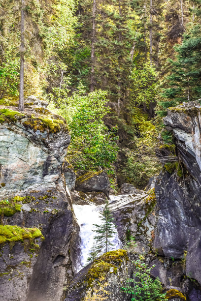 水流过长满苔藓的岩石图片下载