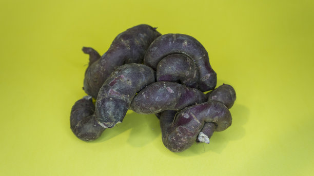 黄色背景上的新鲜甘薯图片下载