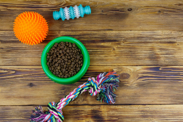 木制背景的绿色塑料碗里装着狗玩具和狗饲料。前视图。狗护理的概念图片下载