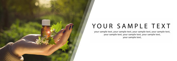 天然药物-草药。良好的设计，文本复制空间。图片下载