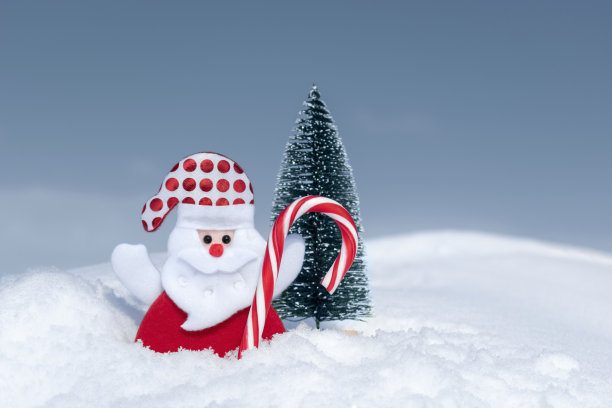 圣诞糖果手杖，圣诞老人和圣诞树上的自然雪蓝天背景。圣诞贺卡的概念图片下载