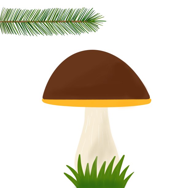 森林蘑菇手绘插图。图片下载