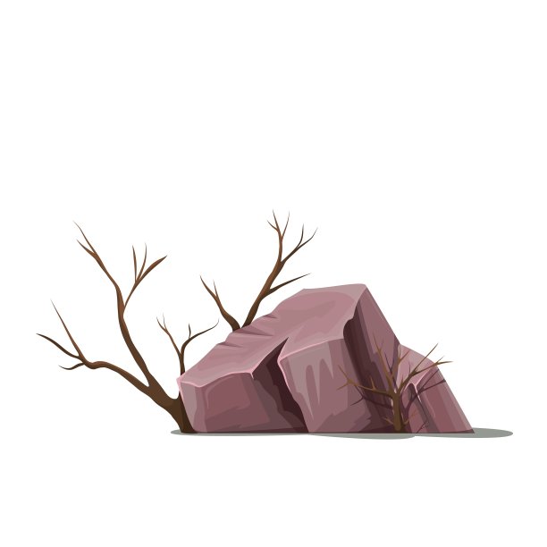 石头和植物，巨石图片下载