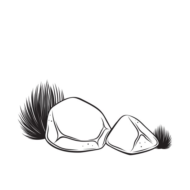 画单色的石头和草图片下载