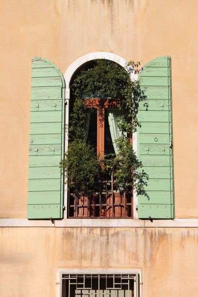 威尼斯典型的文艺复兴时期的橱窗图片下载