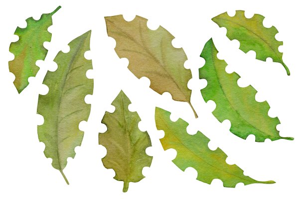 一套花式绿叶，水彩画插图图片下载