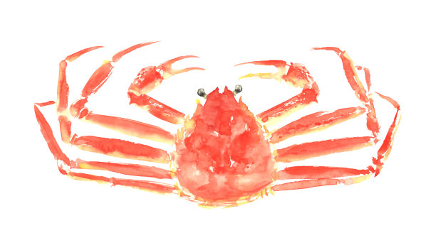画在水彩雪蟹插图图片下载