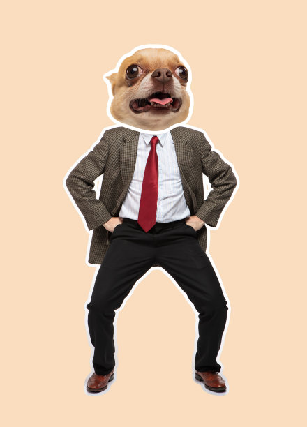 狗头艺术商人。时尚杂志风格的肖像图片下载