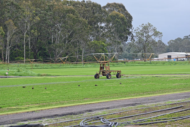 灌溉潮喷图片下载