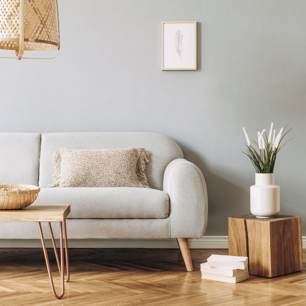 以现代理念设计居家室内开放空间，配有木桌、茶几、沙发、椅子、植物、镜子、流苏和优雅的配件。时尚简约的家居装饰。模板。图片下载