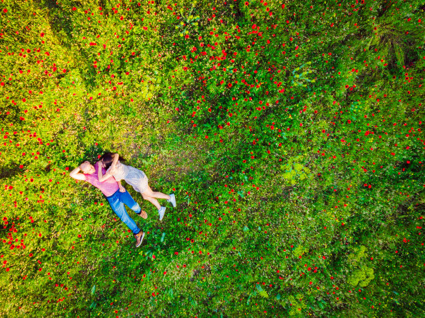夏日里，幸福的情侣在爱情中孤独地躺在绿色的自然田野里。顶部视图复制粘贴背景图片下载