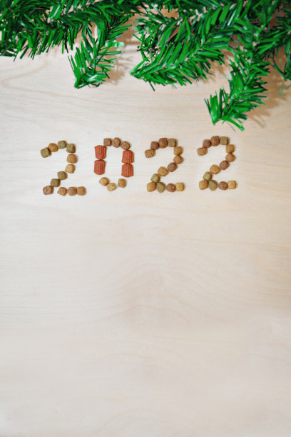 猫食狗粮和新年。干食品标签。2022年的宠物零食图片下载