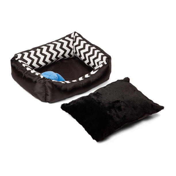 黑色和白色的小狗猫床为室内宠物隔离在白色背景图片下载