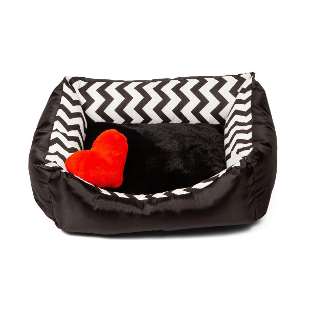 黑色和白色的小狗猫床为室内宠物隔离在白色背景图片下载