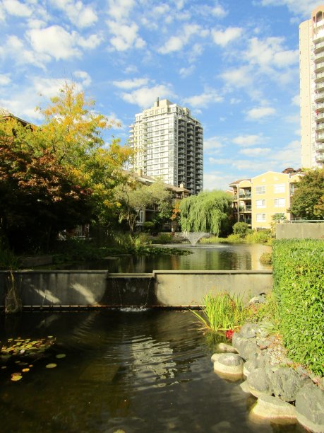 居住区在新威斯敏斯特，BC，加拿大。图片下载