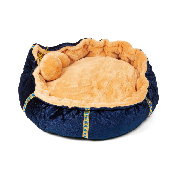 蓝色和棕色的小狗猫床室内宠物隔离在白色背景图片下载