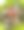 野生海鲜图片下载