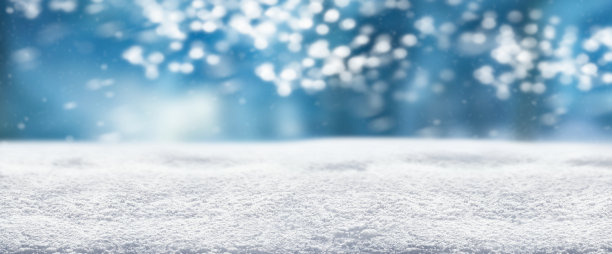 以白雪皑皑的森林为背景的寒冷的冬季雪景图片下载