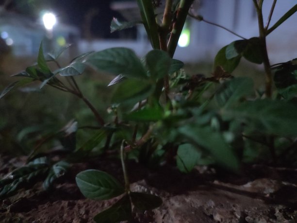 自然之美图片下载