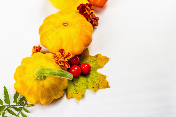 秋天的构图，孤立在白色的背景上。由成熟的装饰性南瓜、落叶、浆果和金盏花制成的花环图片下载