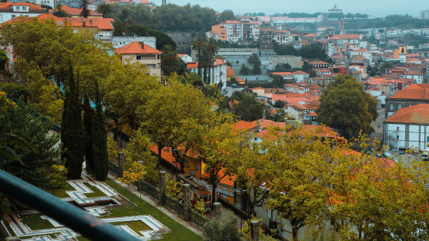 从高处拍摄的城市照片，房子、红屋顶和树木图片下载