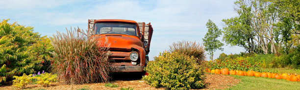 秋景老红色卡车图片下载