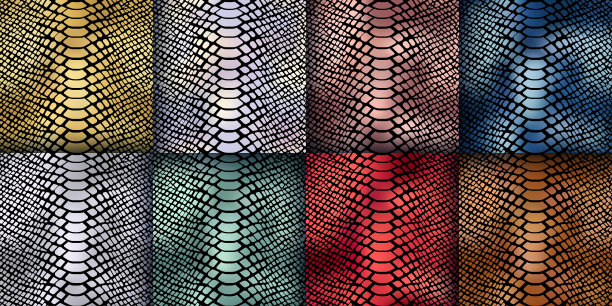 时髦的蛇皮肤金色矢量无缝模式集。野生动物爬行动物皮，闪亮的金色，银色，玫瑰金，蓝色，红色，绿色金属箔重复纹理打印时尚，背景，壁纸图片下载